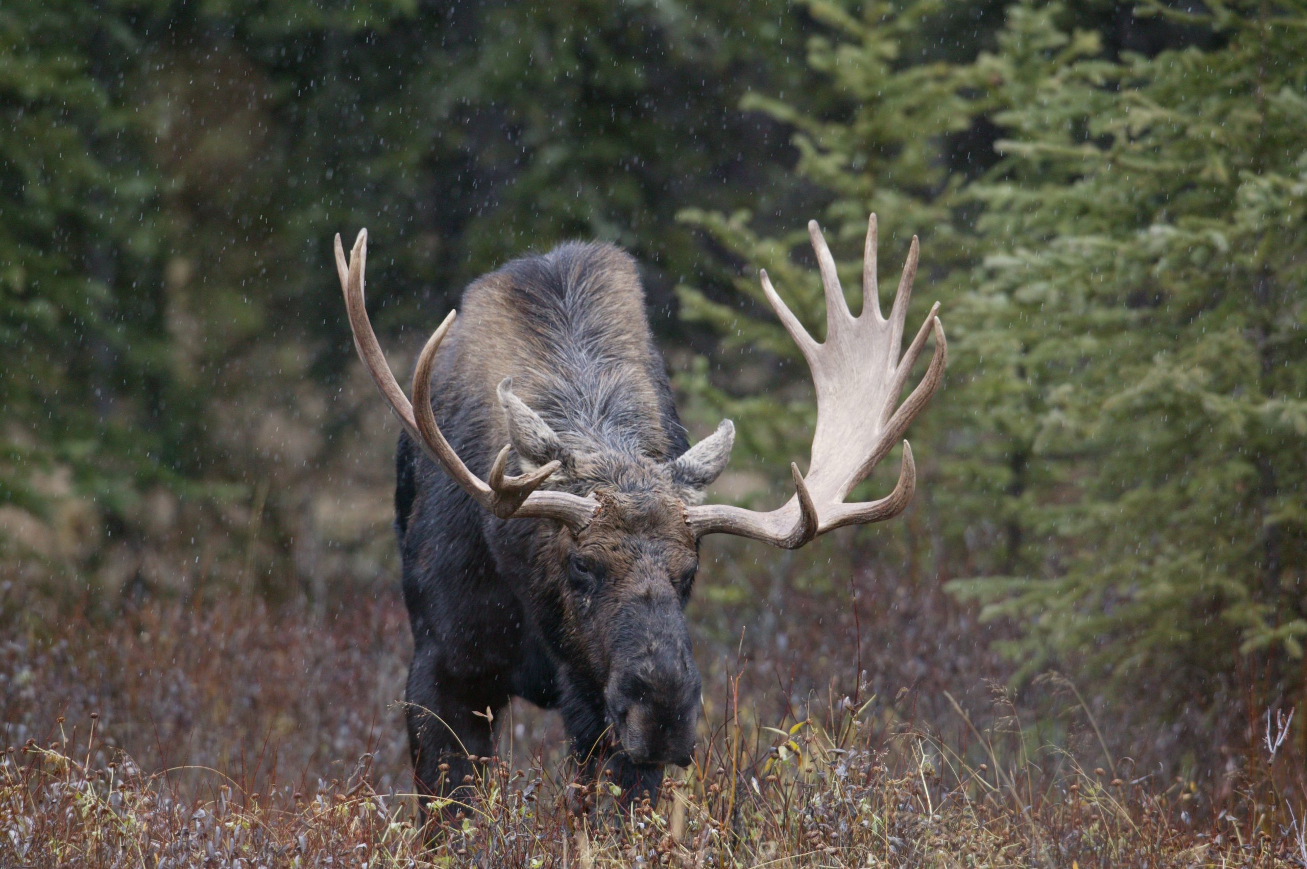 Home 34 915W6927 scaled