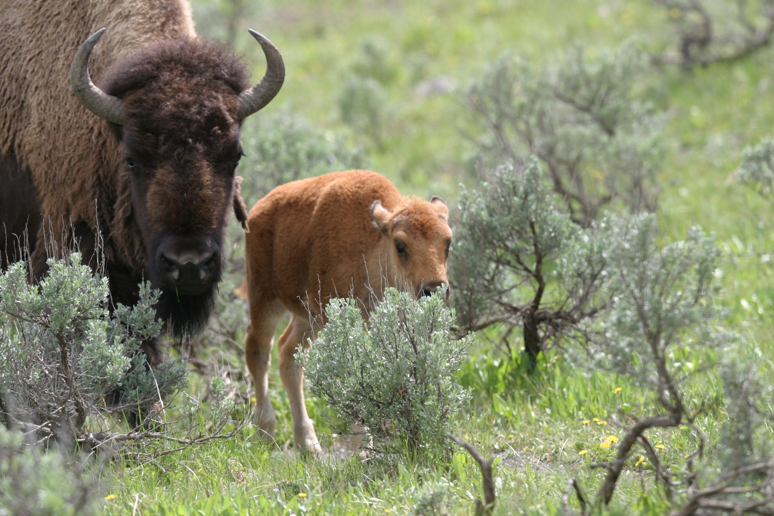 Home 36 IMG 2815 scaled