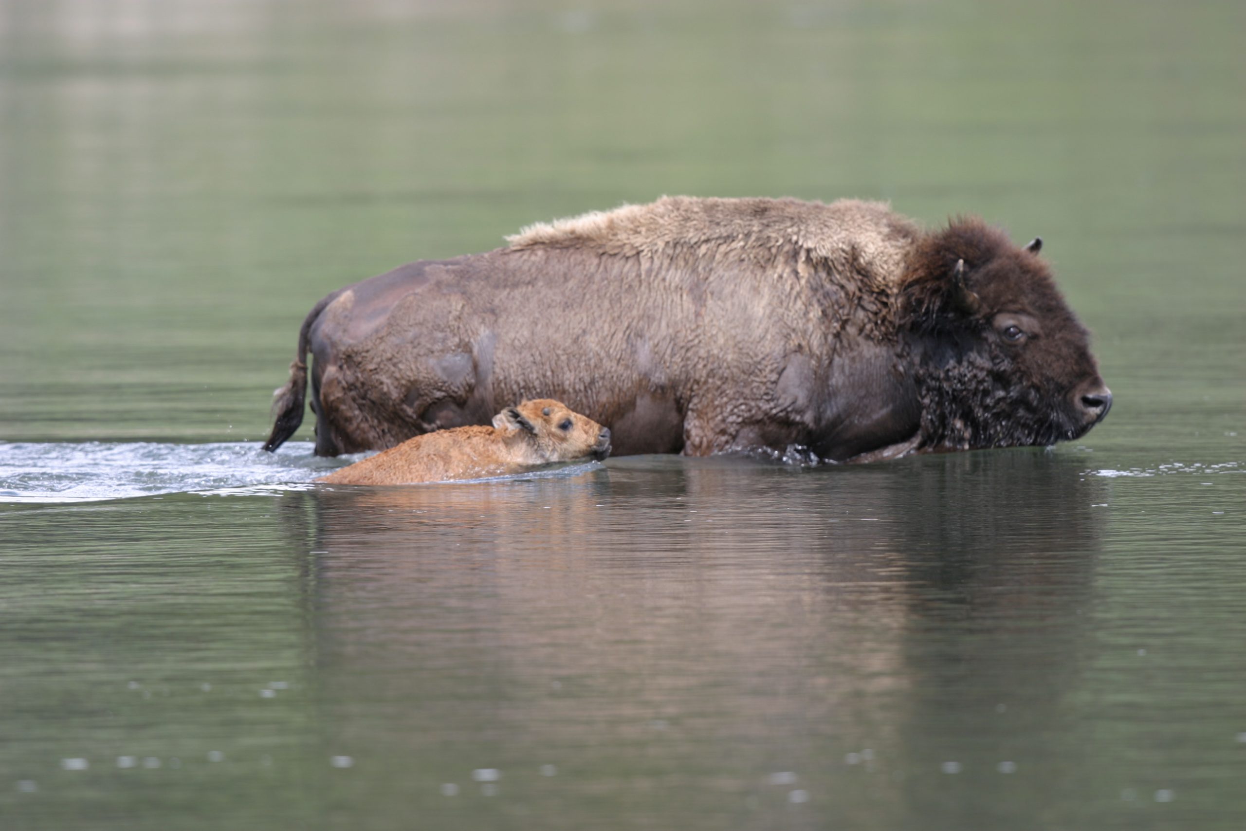 Home 37 IMG 2892 scaled