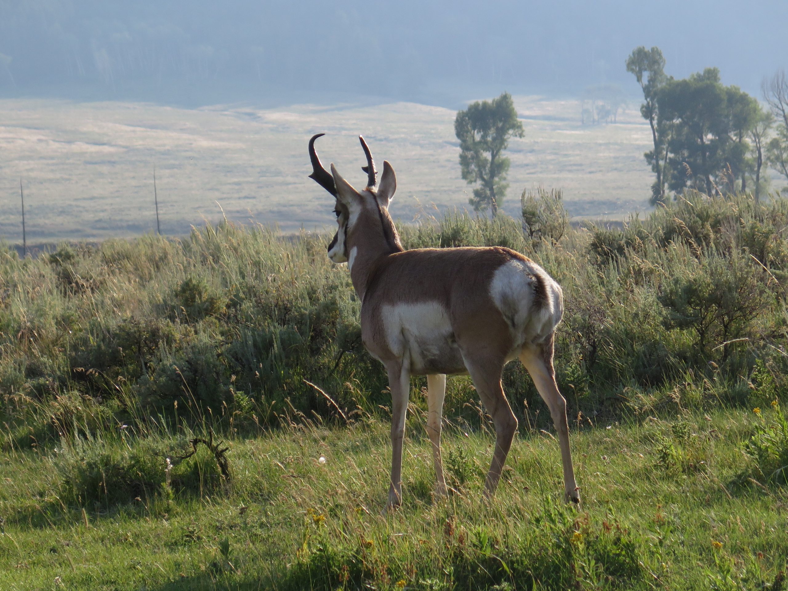 Home 38 IMG 3603 scaled