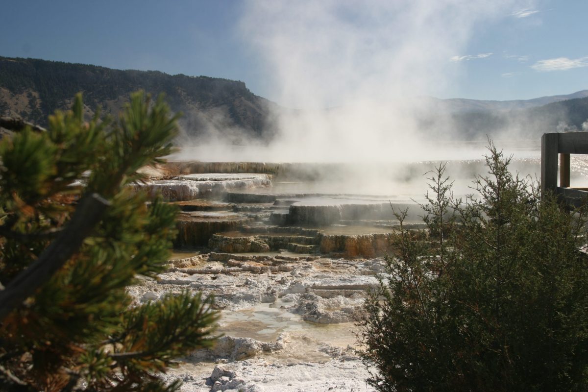 IMG 4109 scaled e1634783872761