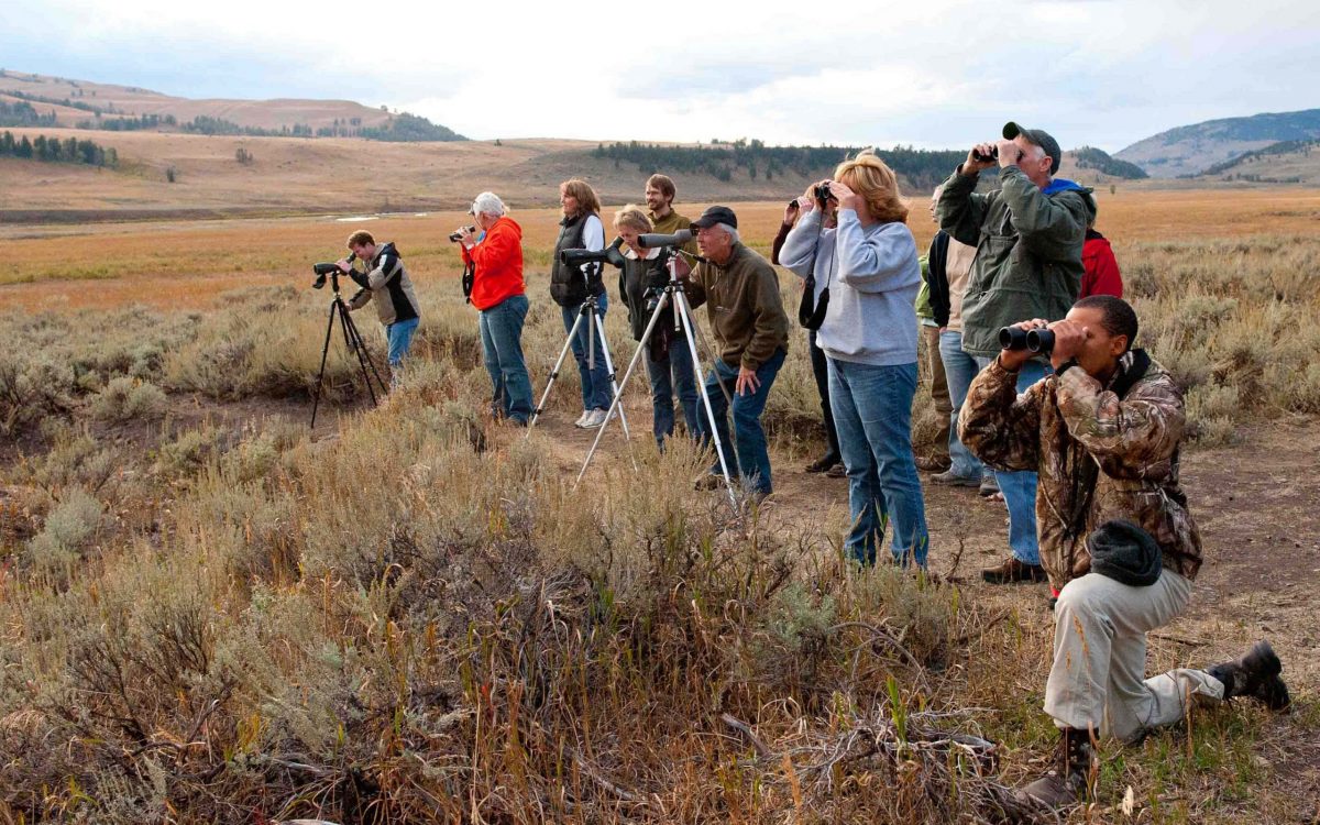 spotting scope animal watching 2 scaled e1634784245791