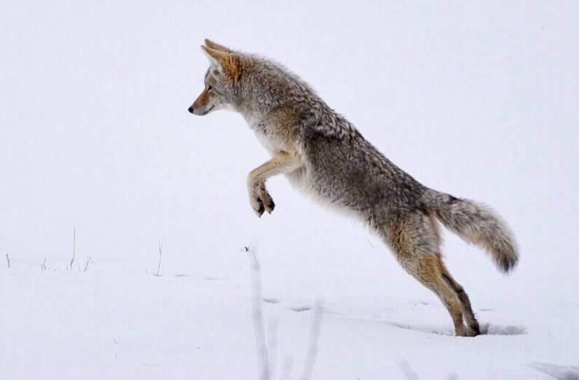 Screenshot 2022 10 30 at 12.23.26 PM